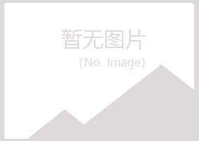 石泉县夏岚制造有限公司